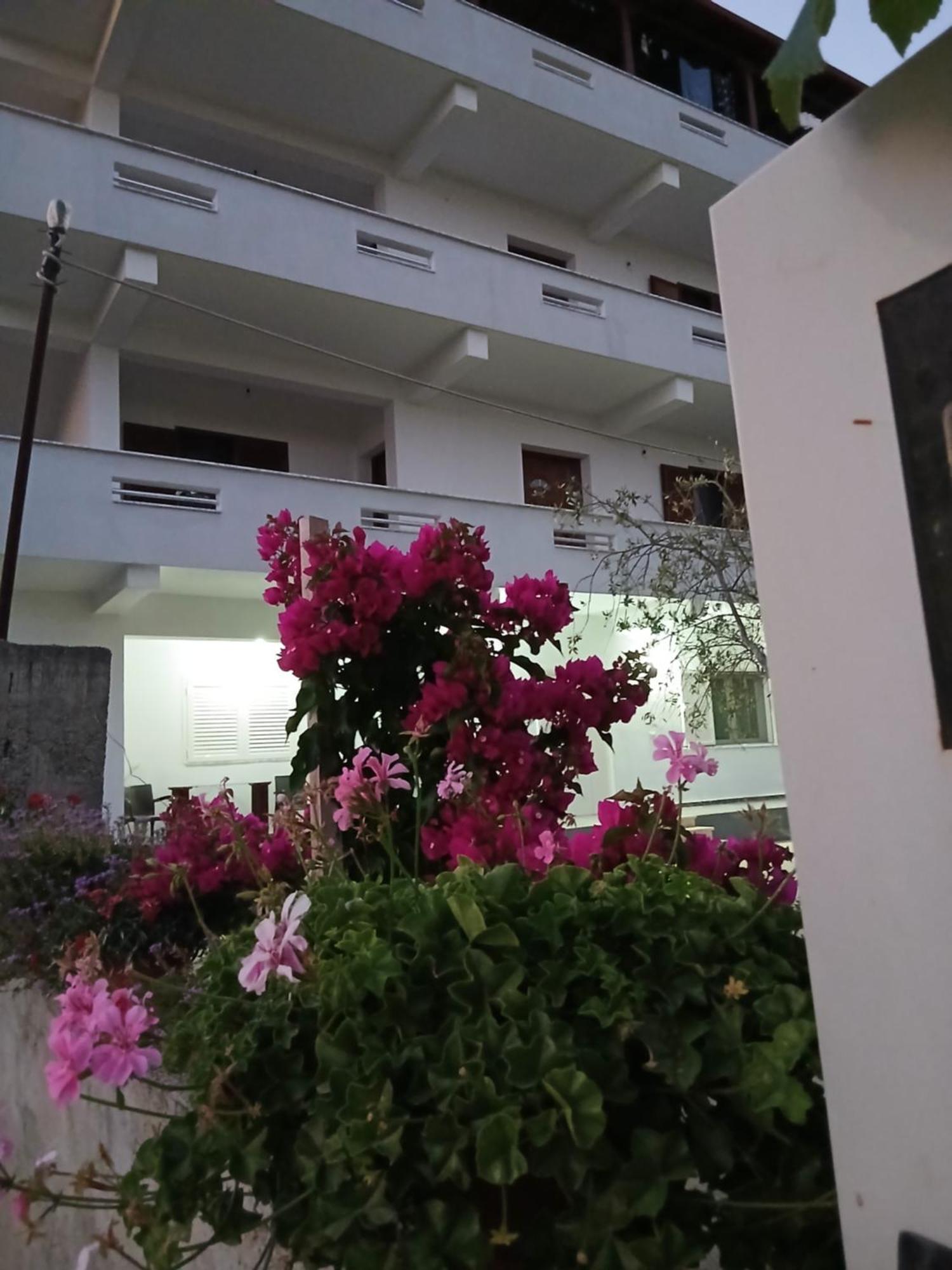 Bali * Durrës